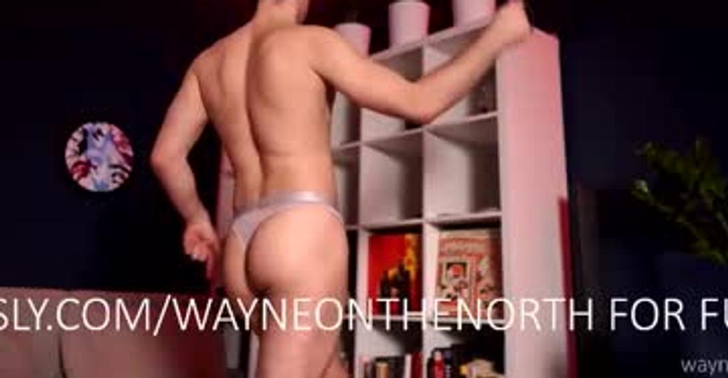 waynenorth